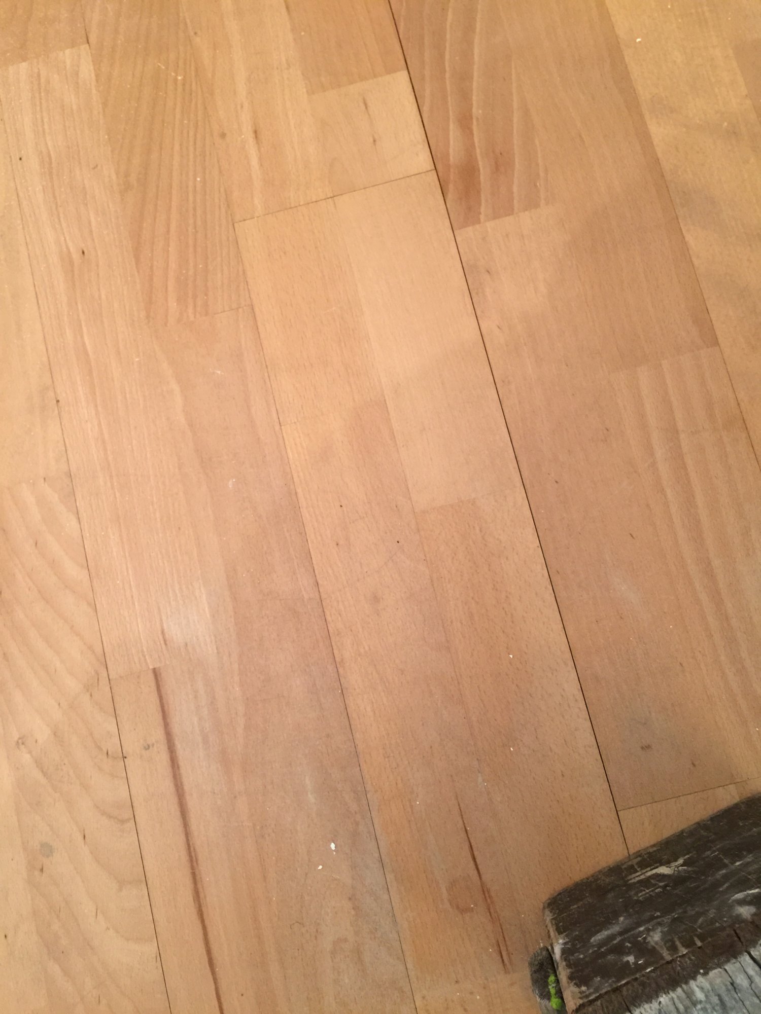 DDA153EC-95D5-4593-83B8-B6E053F7178E