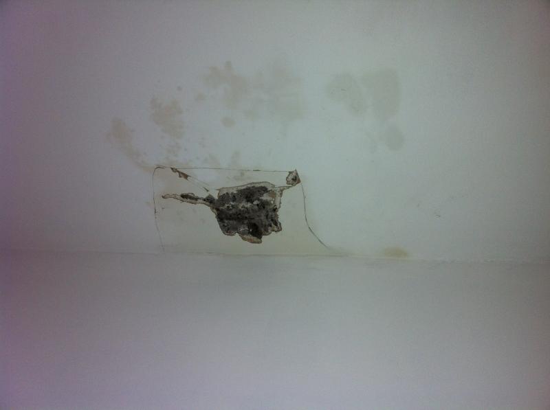 dining room alcove 3