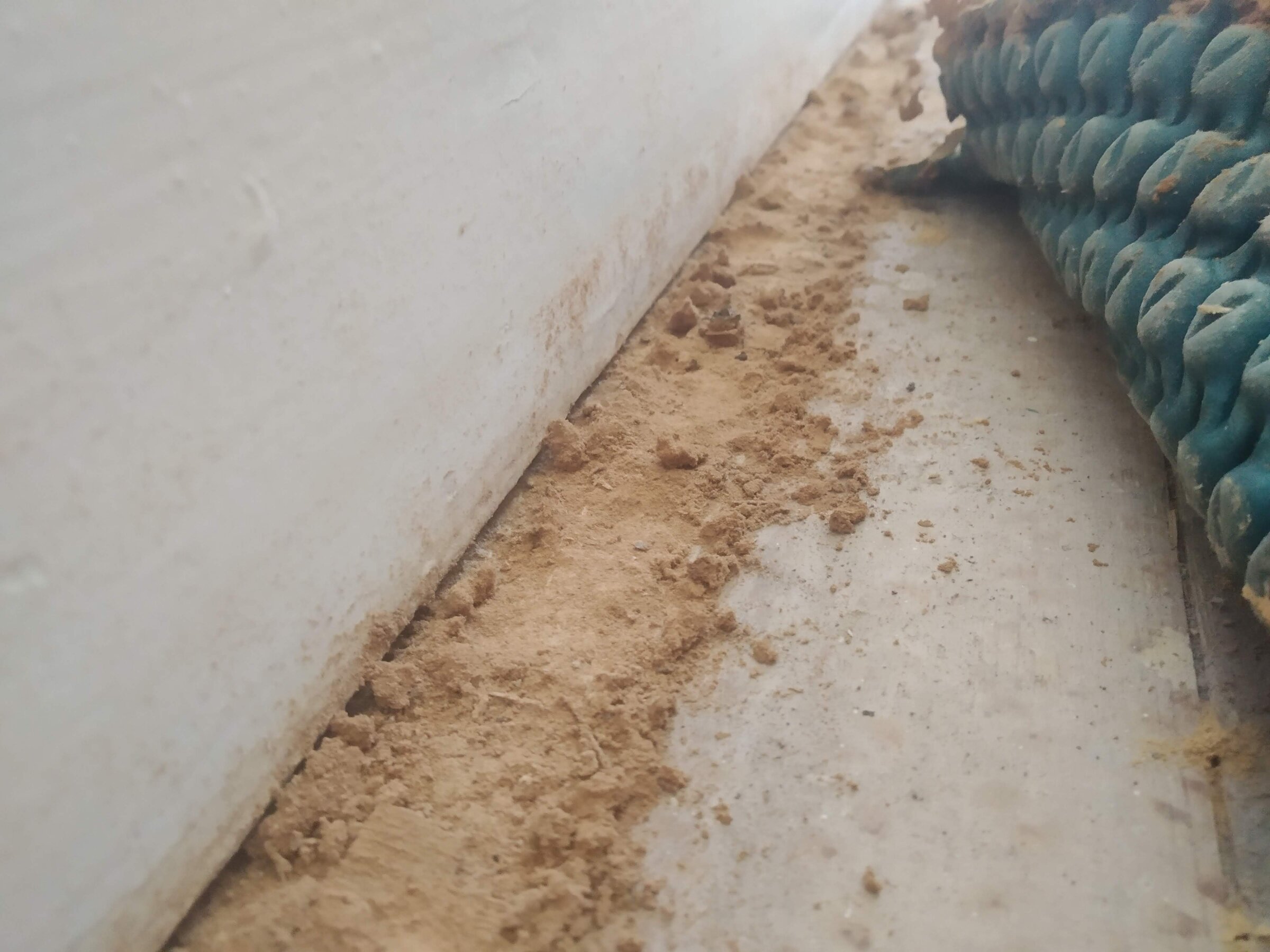 disintegrated-carpet-gripper2