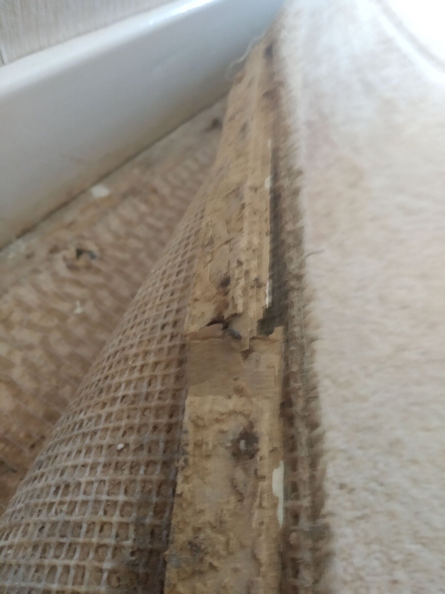 disintegrated-carpet-gripper3