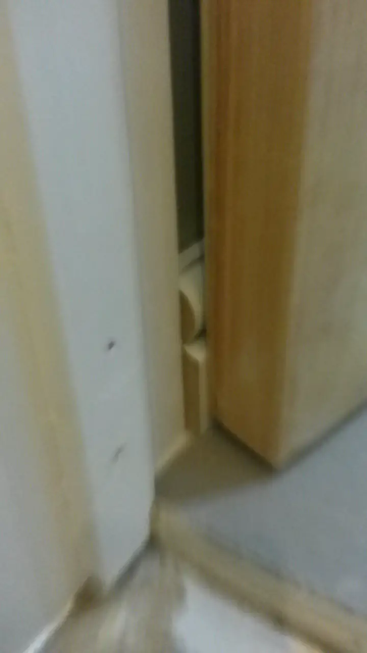 Door And Skirting