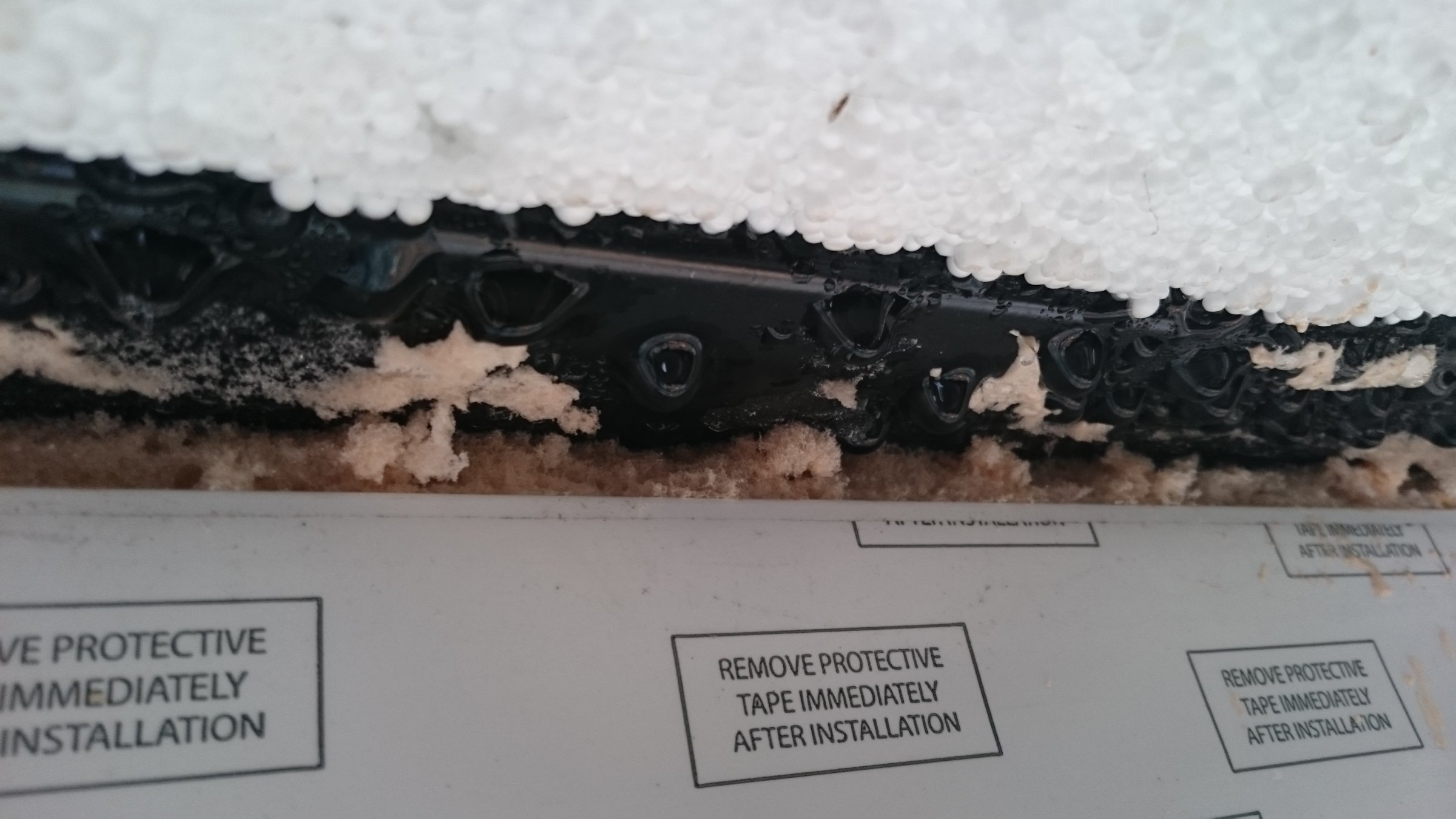 DSC_0002_zpsa1aay5kk