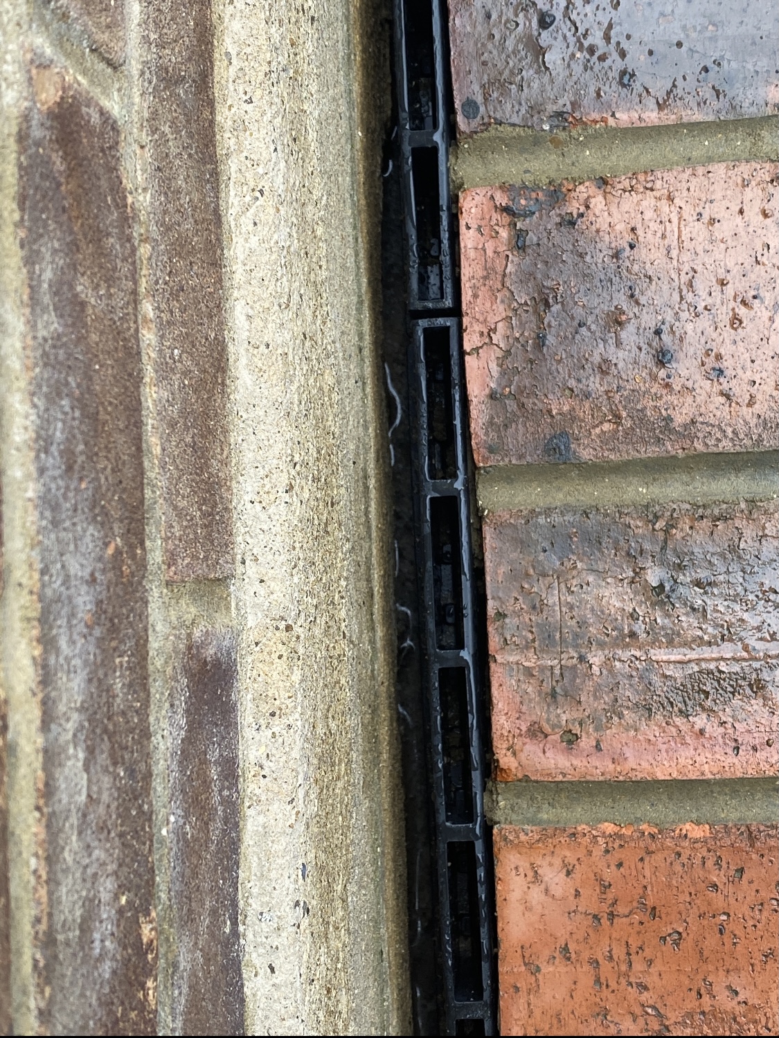 E677B98B-04F1-468C-8EB2-36F39706CE7C