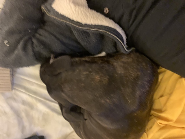 E749EE79-CA42-4093-B848-7371304ECF08