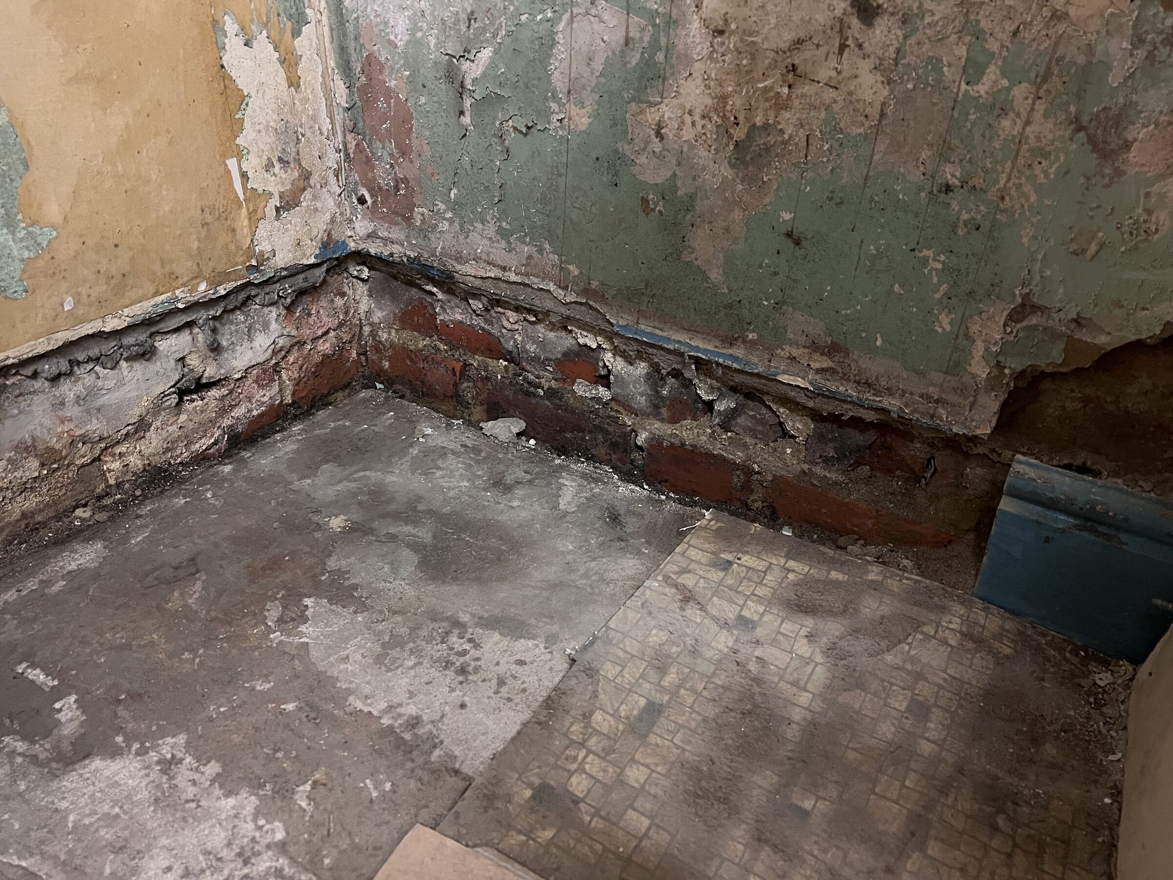 E896BC08-9637-4558-9870-8DF440D5ACD4