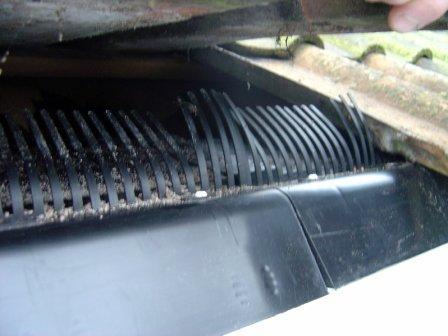 Eves Protection With Bird Guard