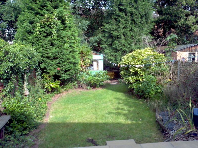 Existing garage and trees