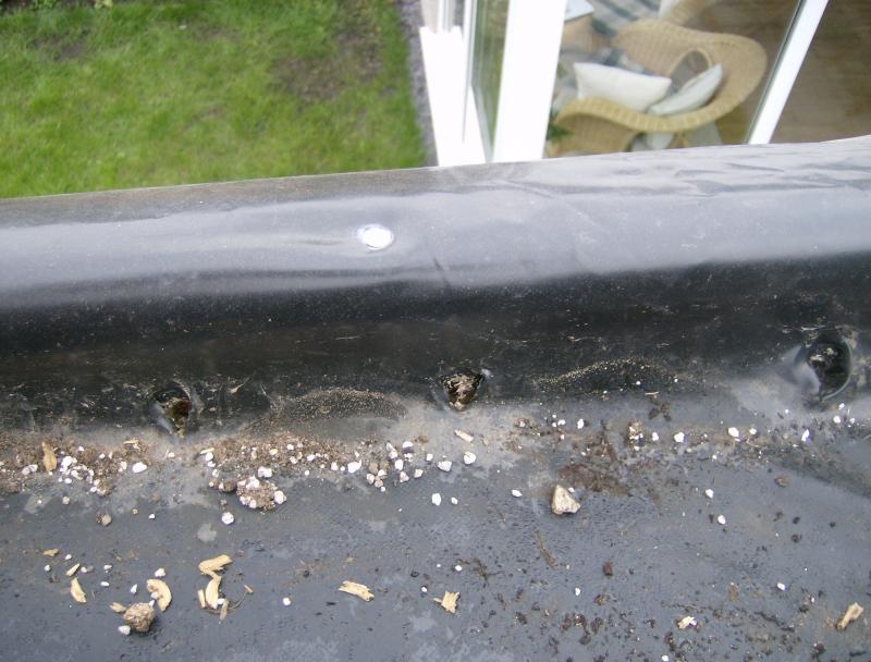 Exit holes internal view