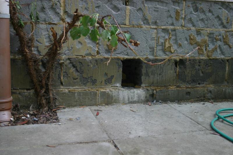 External June 4 2011