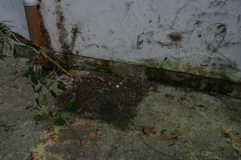 External May 29 2011