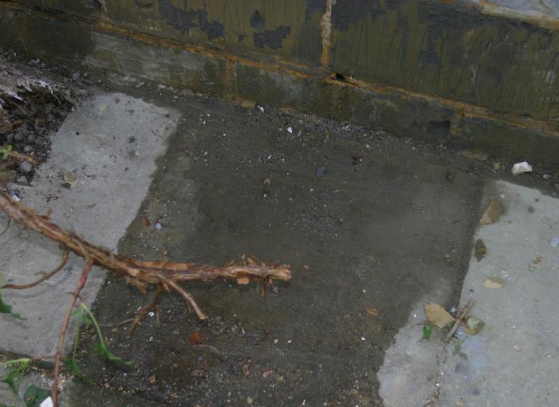 External May 30 2011