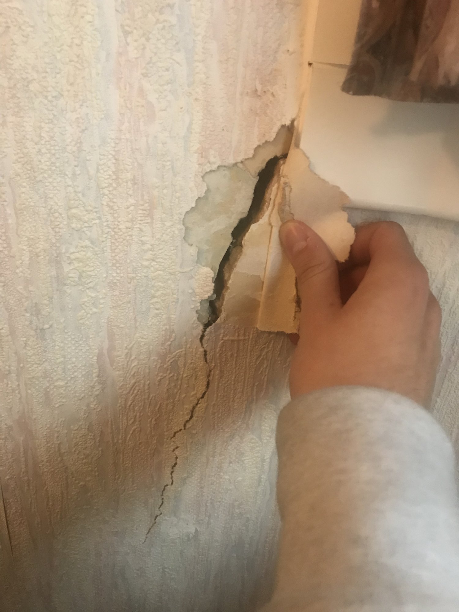 F399A0A1-95C2-486D-8DB7-62D31500F27B