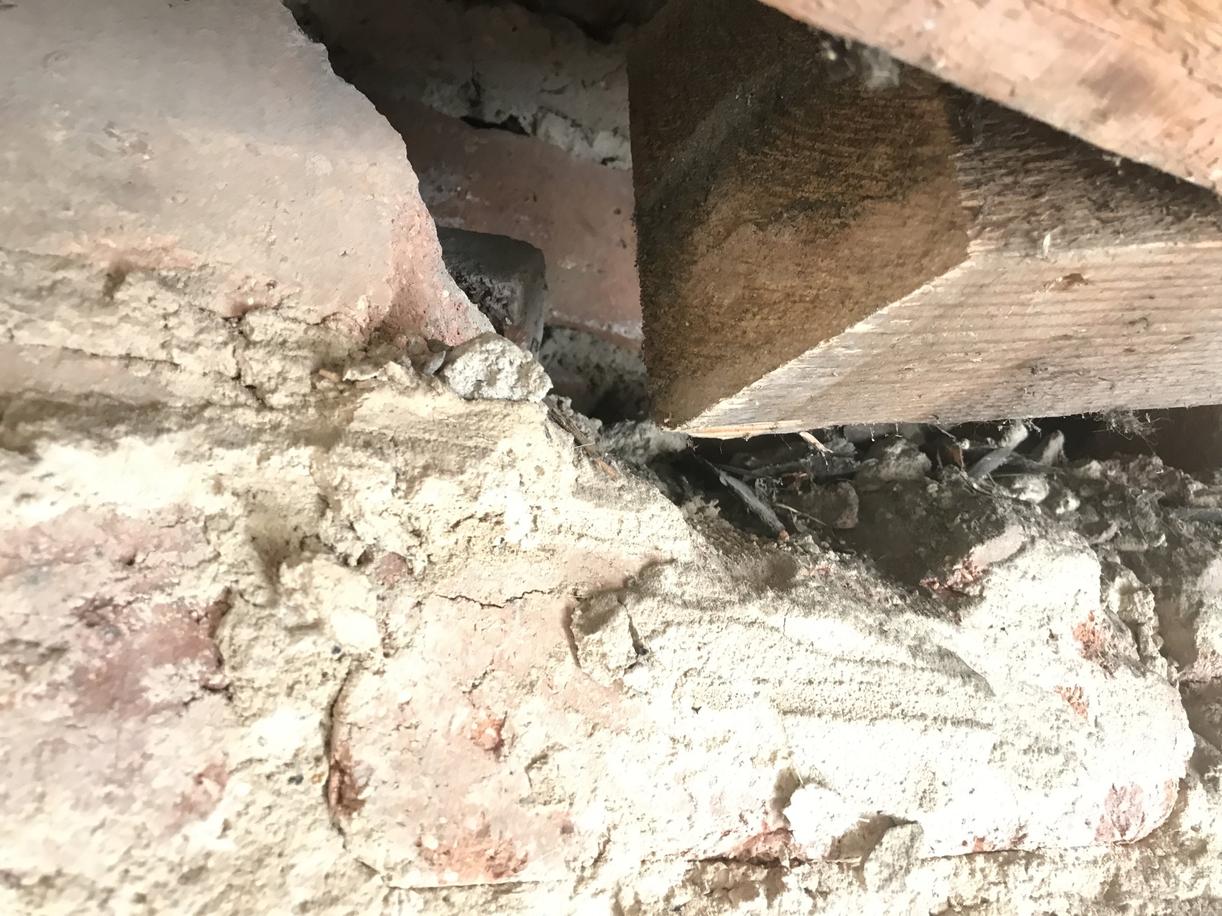 F97D8463-EE43-4B1C-8E63-0841669EABE3