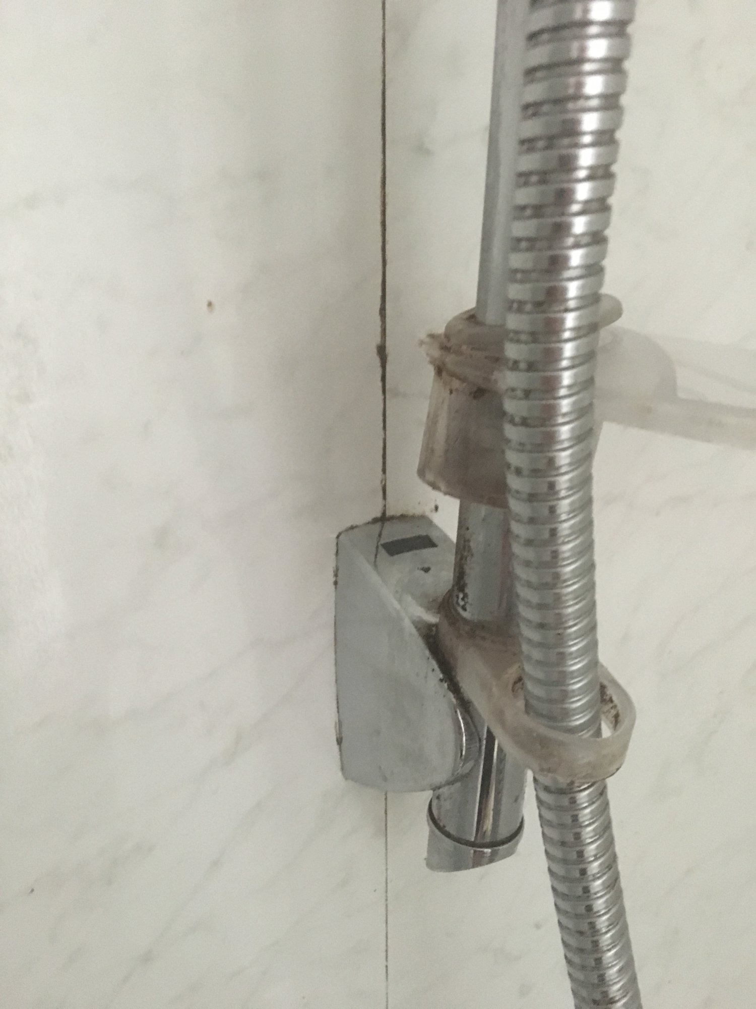 FB6BC2BC-A57E-4C58-BDF5-B83C9578A388