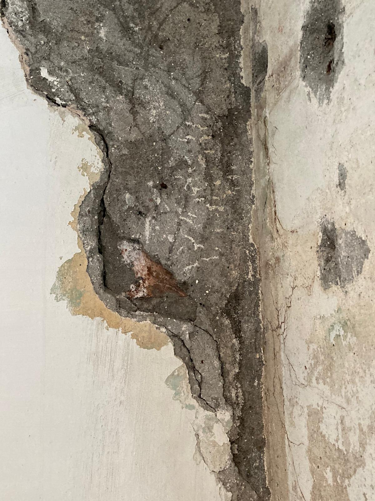 FCC0432D-E159-4CAD-B7D1-E8103B16FA50