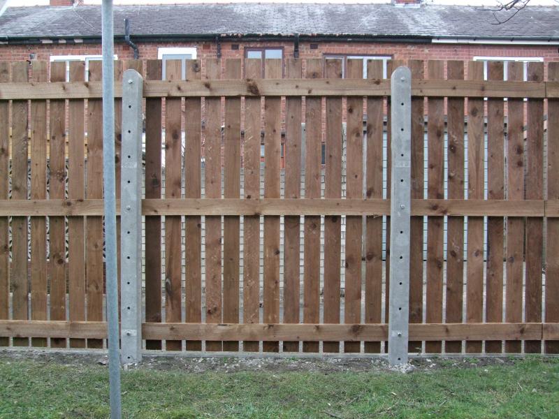 Fence from inside my garden.