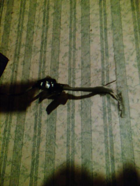 Figure this one out chumps!