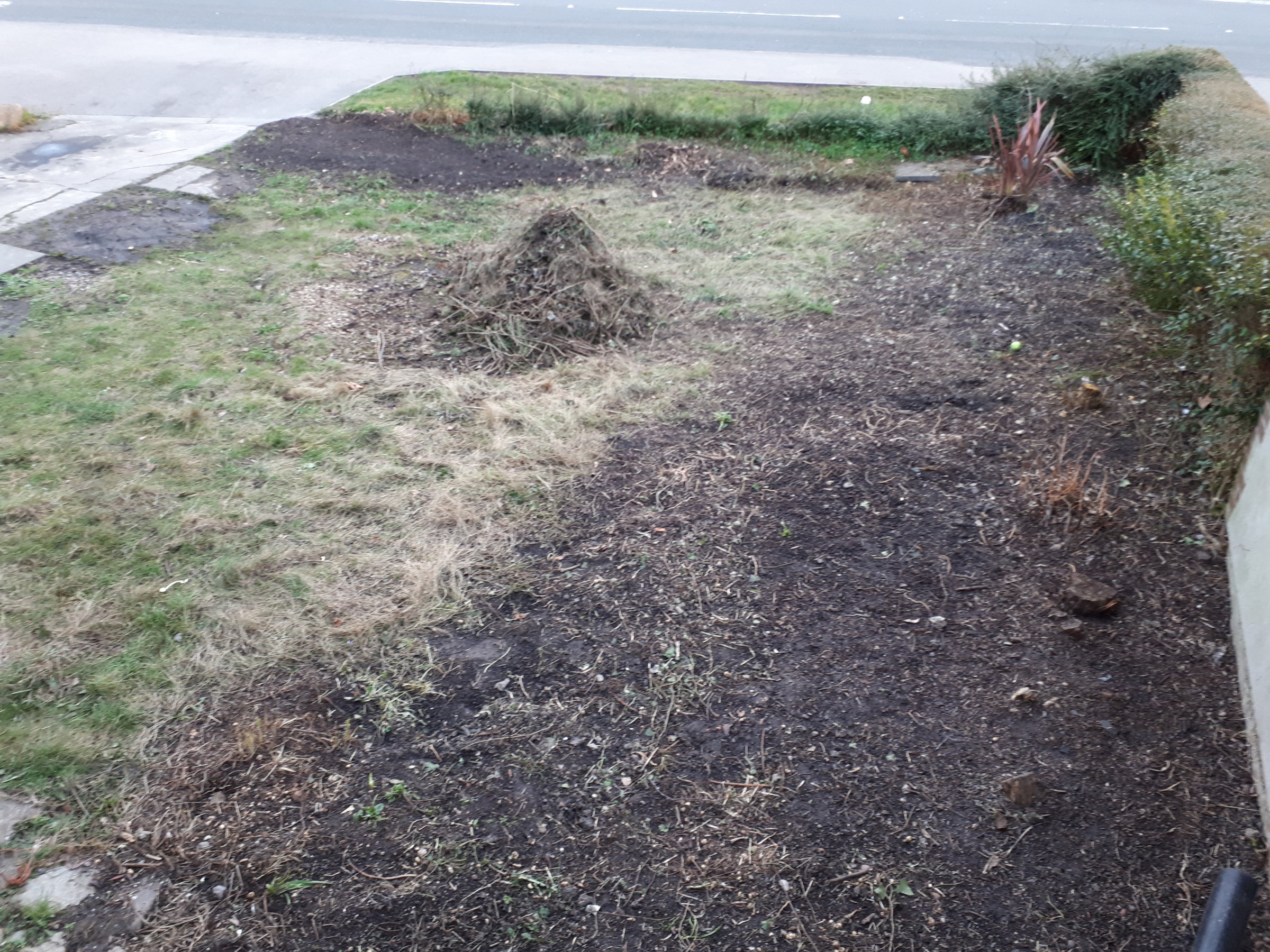 front garden, during clearing
