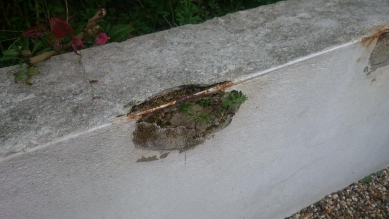 garden wall. Rusty edge