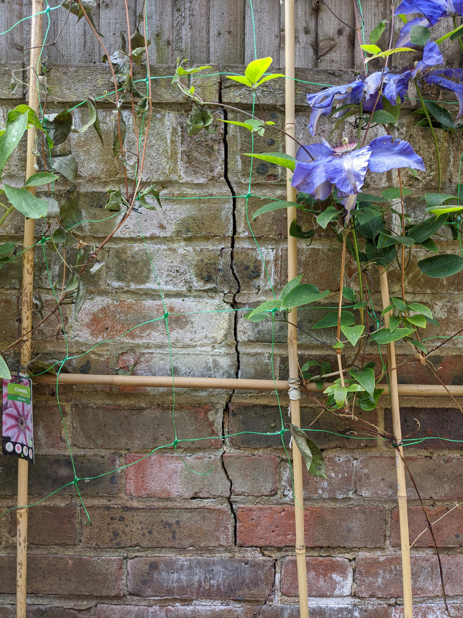 Garden_retaining_wall_crack_front