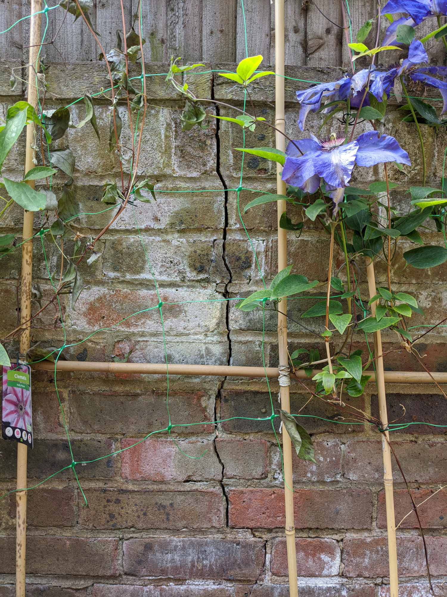 Garden_retaining_wall_crack_front