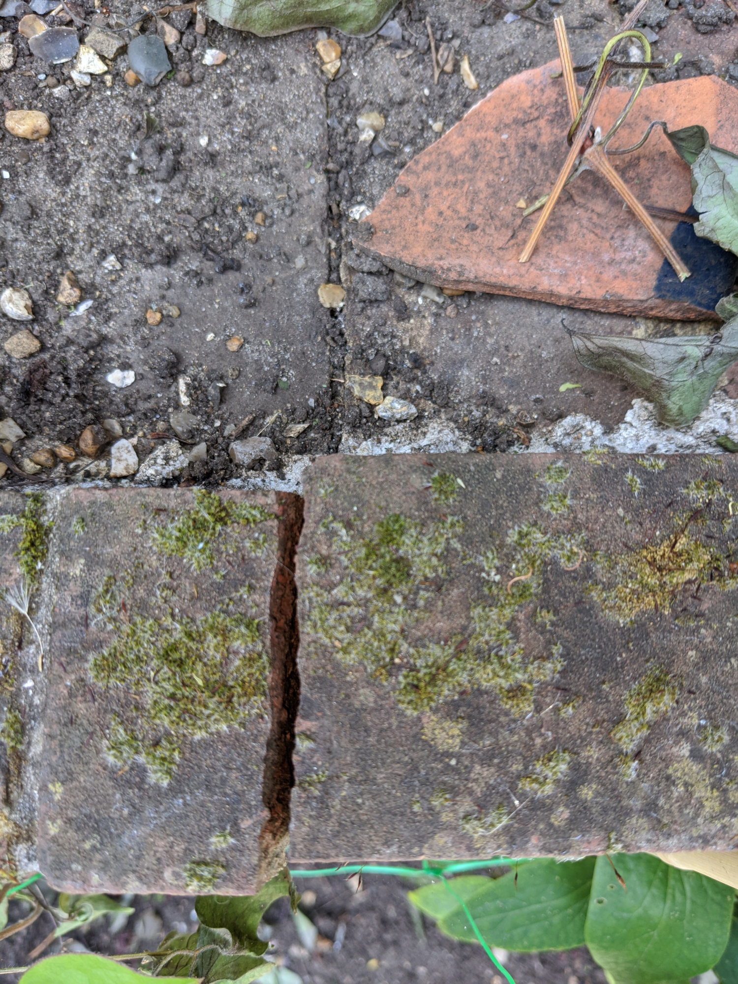 Garden_retaining_wall_top