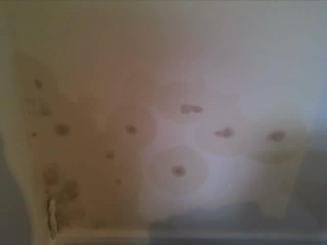 ground floor kitchen