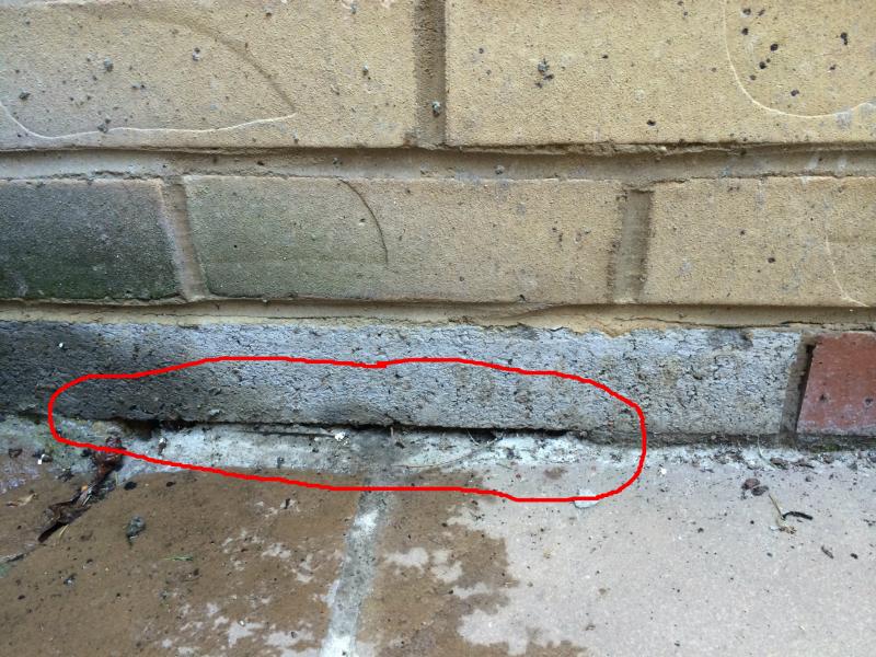 Holes under grey slab at base of extension