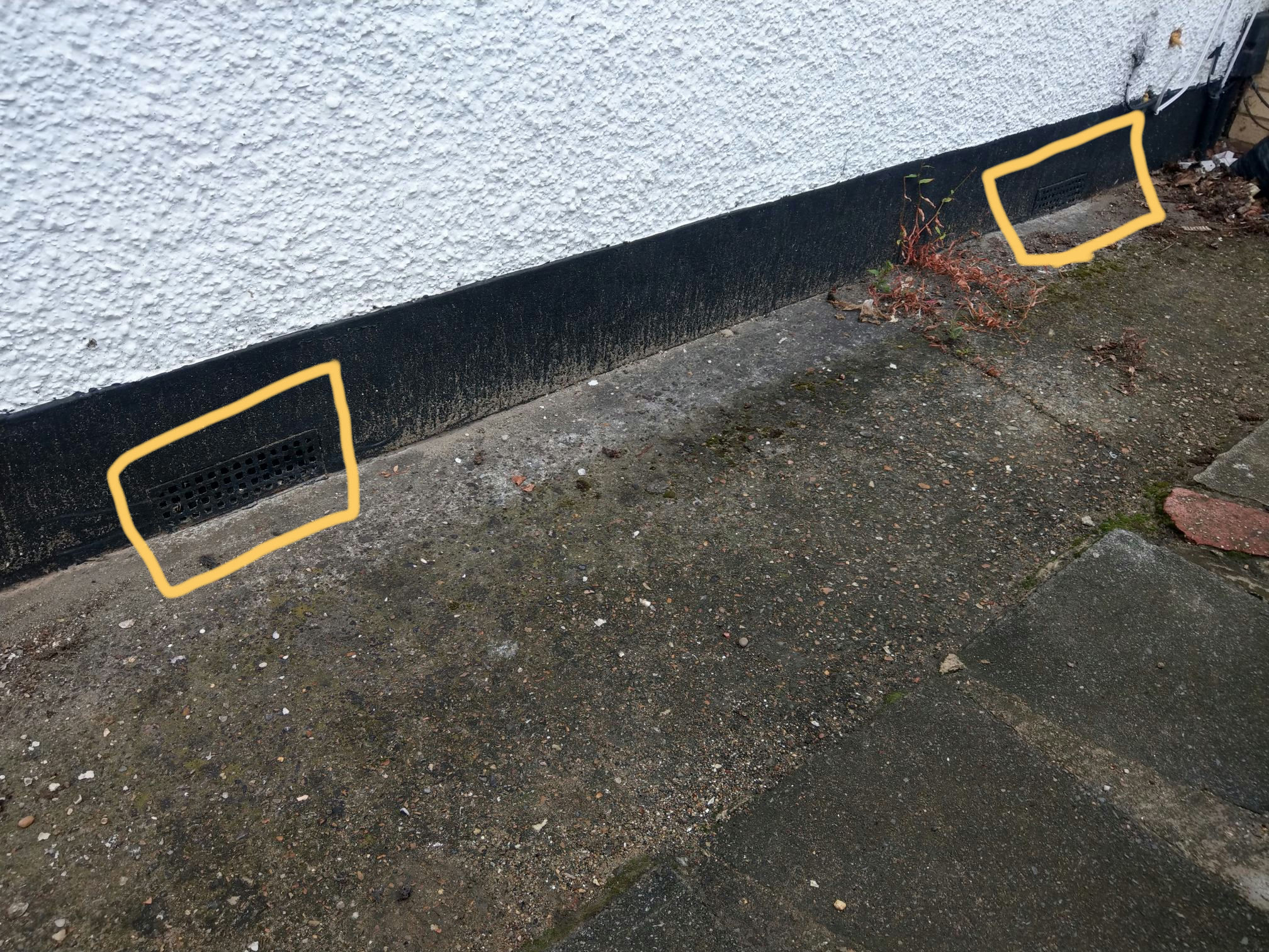 IMAG7442_compress57_1