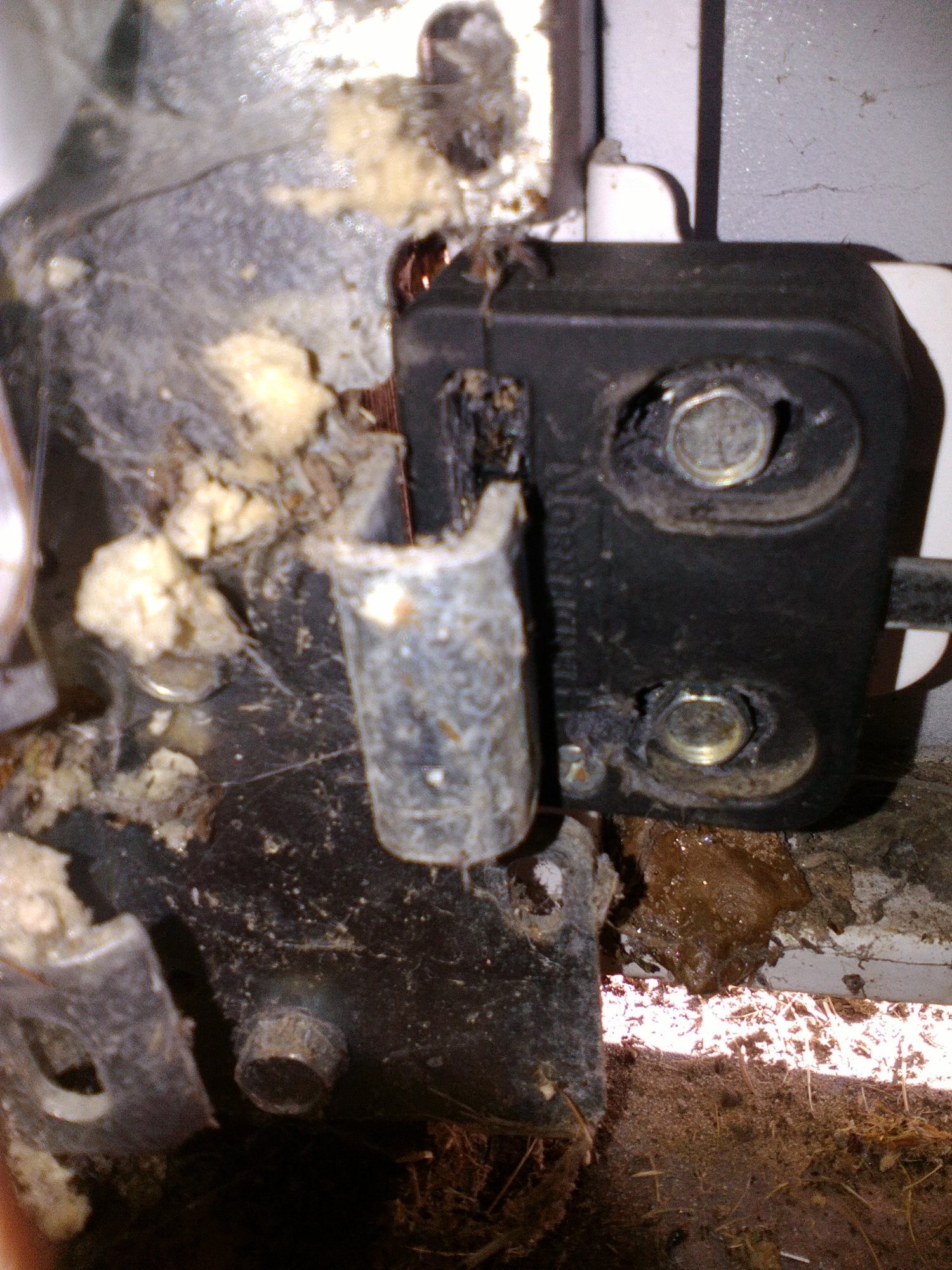 IMG_20150930_160904 1