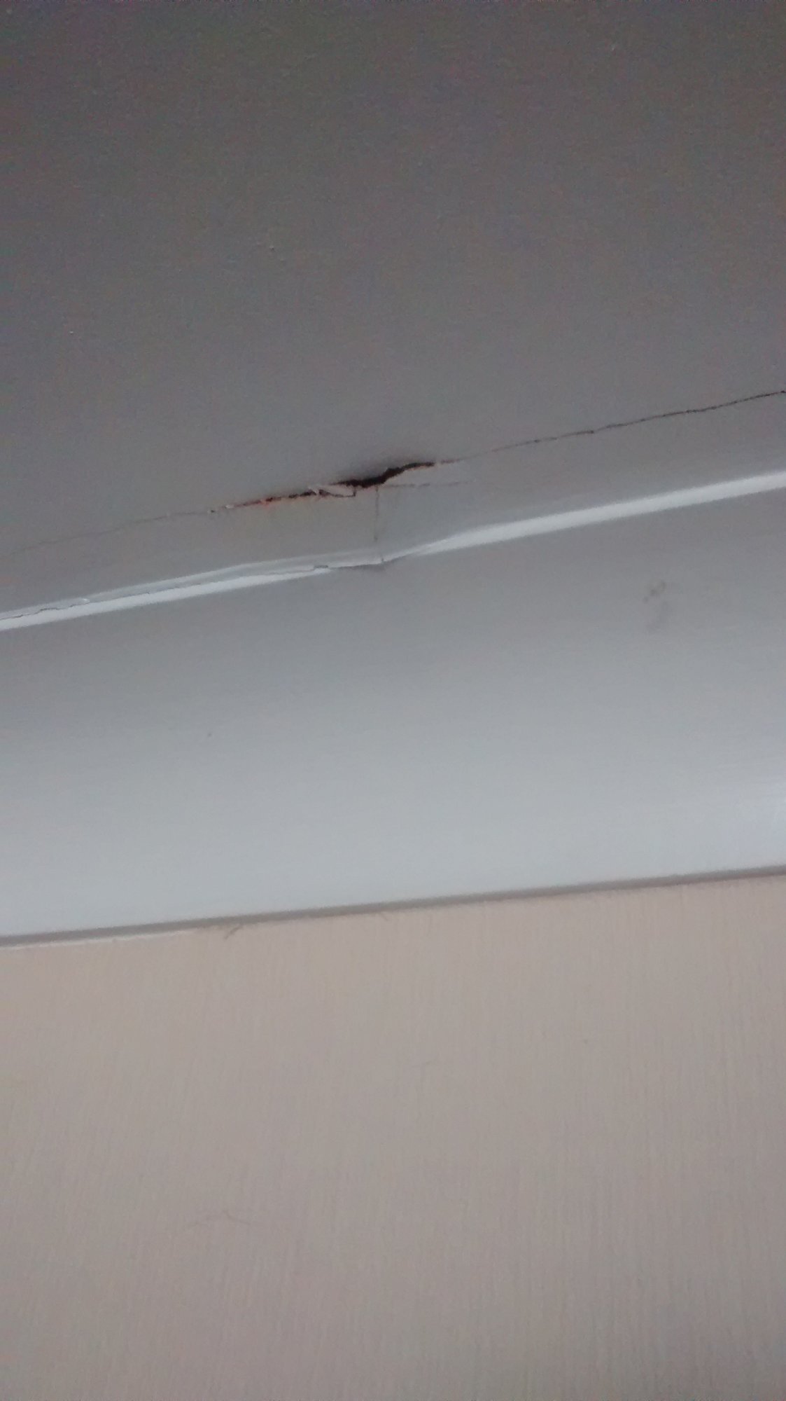 IMG_20160313_164425750[1]