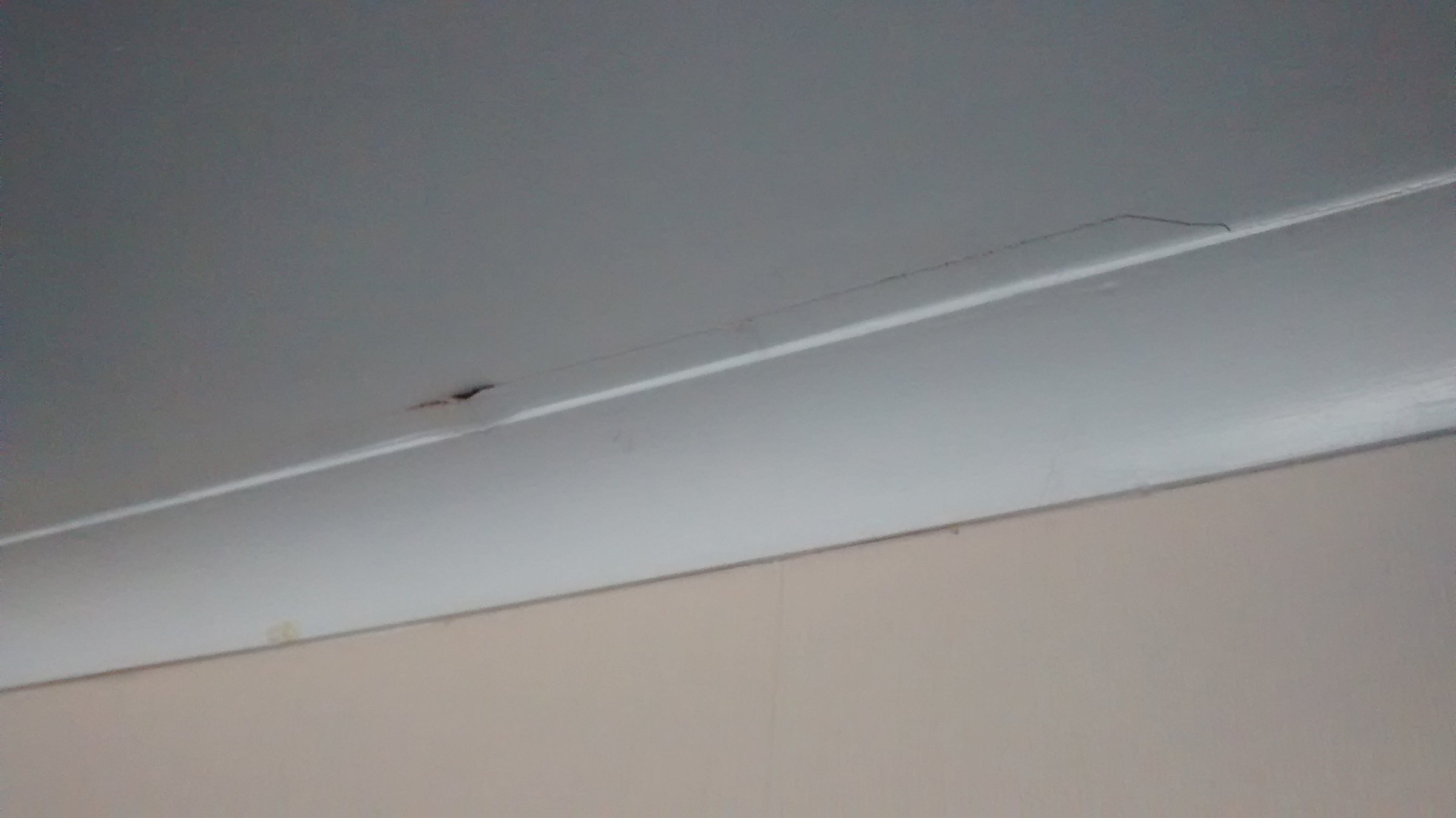 IMG_20160313_164456896[1]