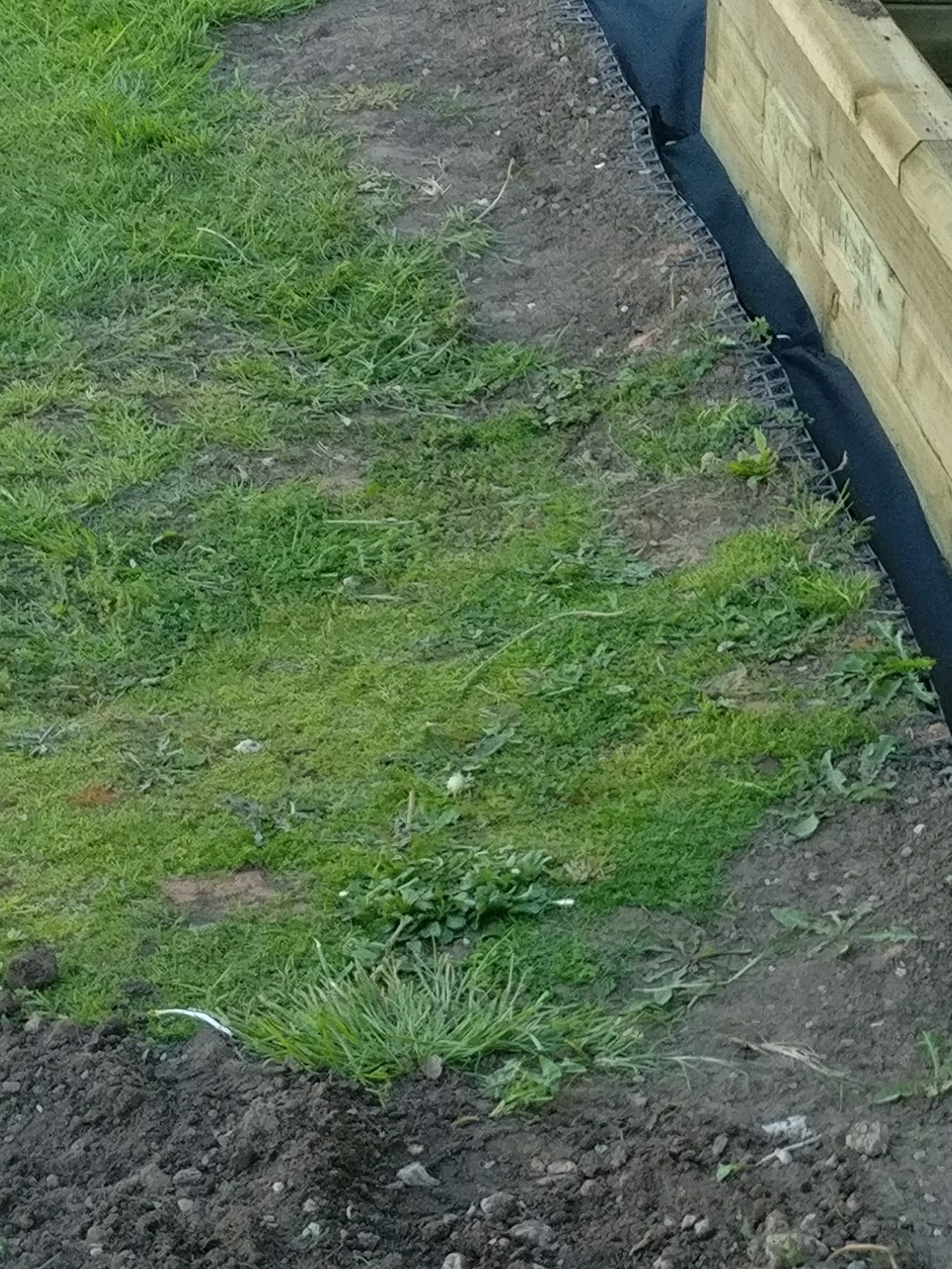 IMG_20170523_170256_01