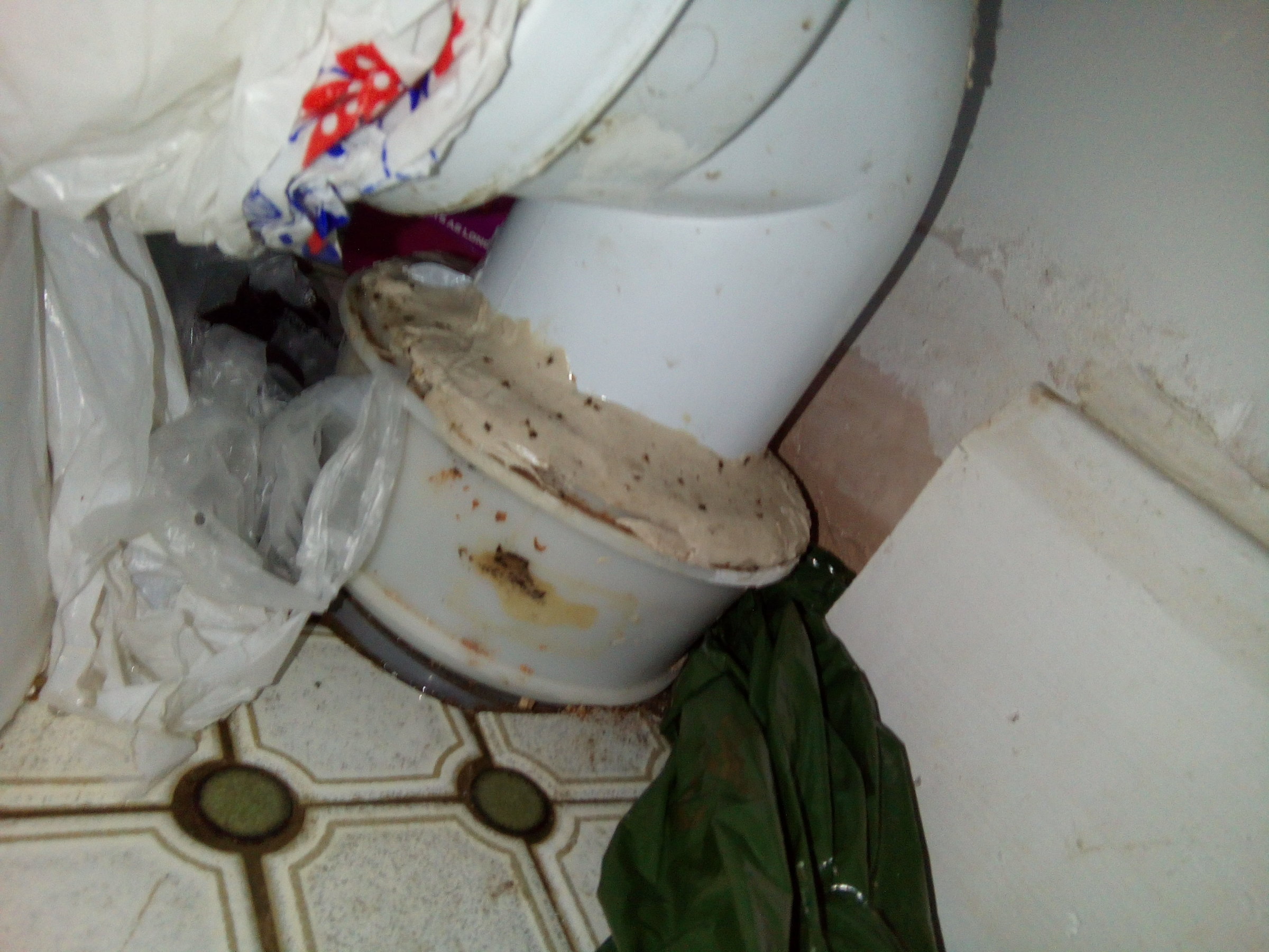 IMG_20170825_150934.jpg Osma