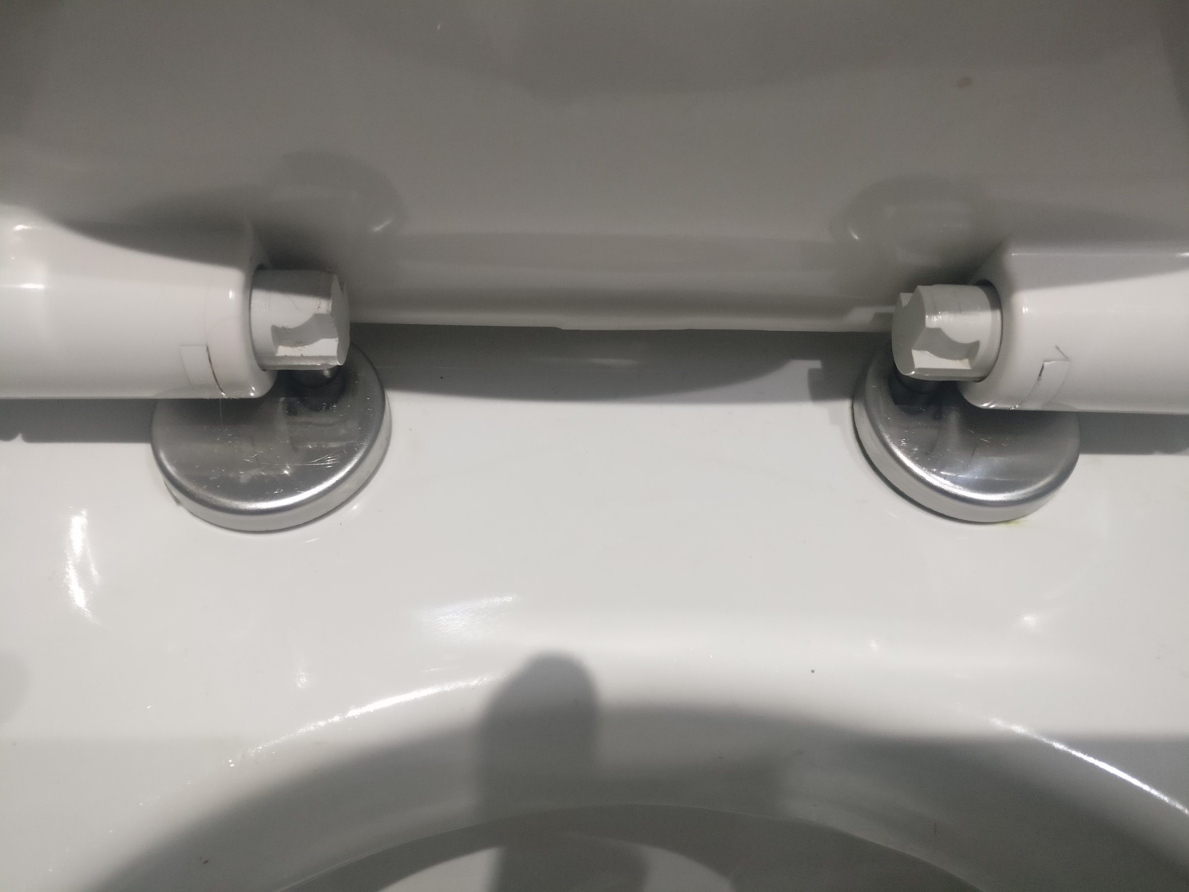 Removing toilet seat DIYnot Forums