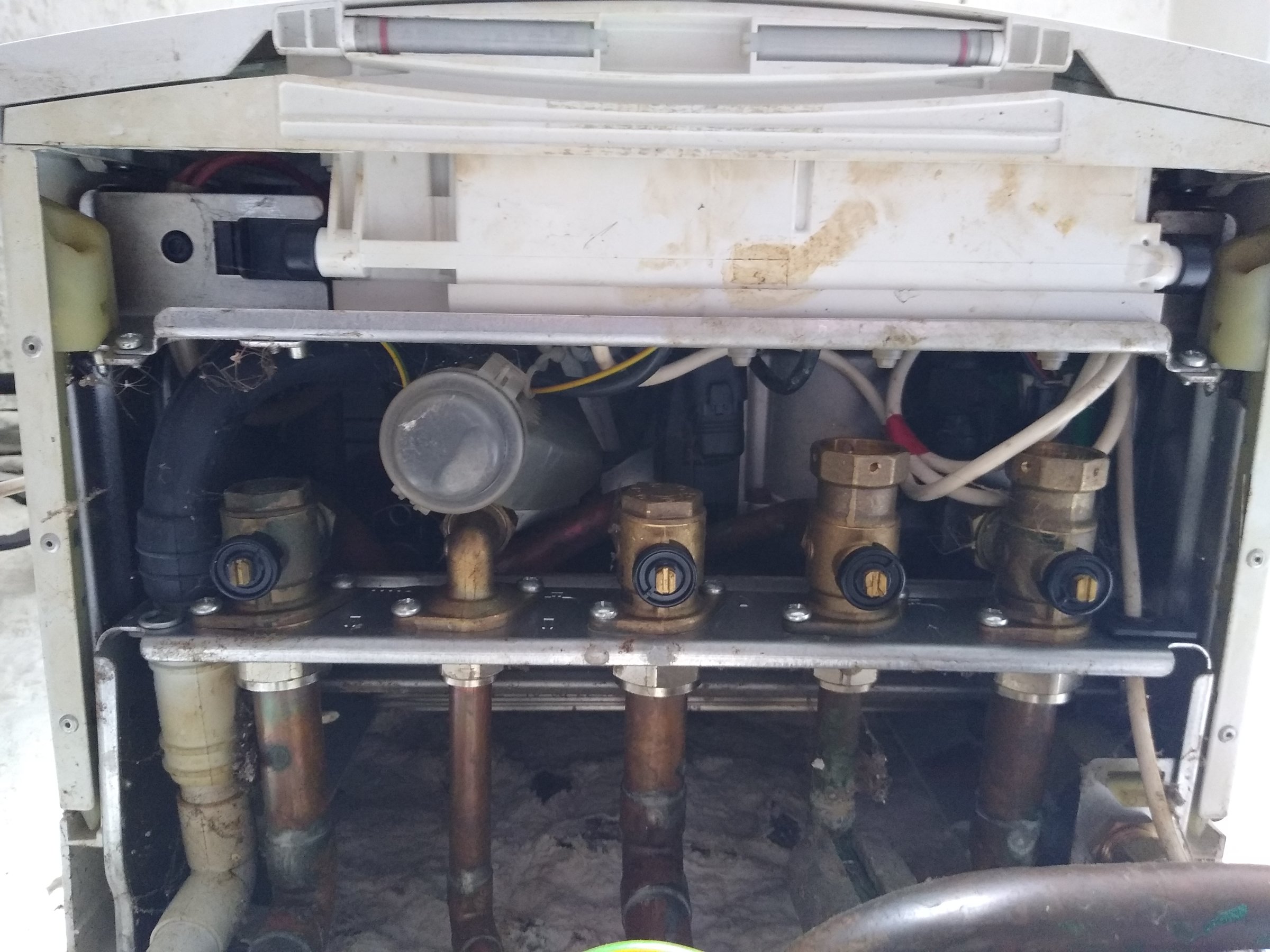 IMG_20190820_171111927