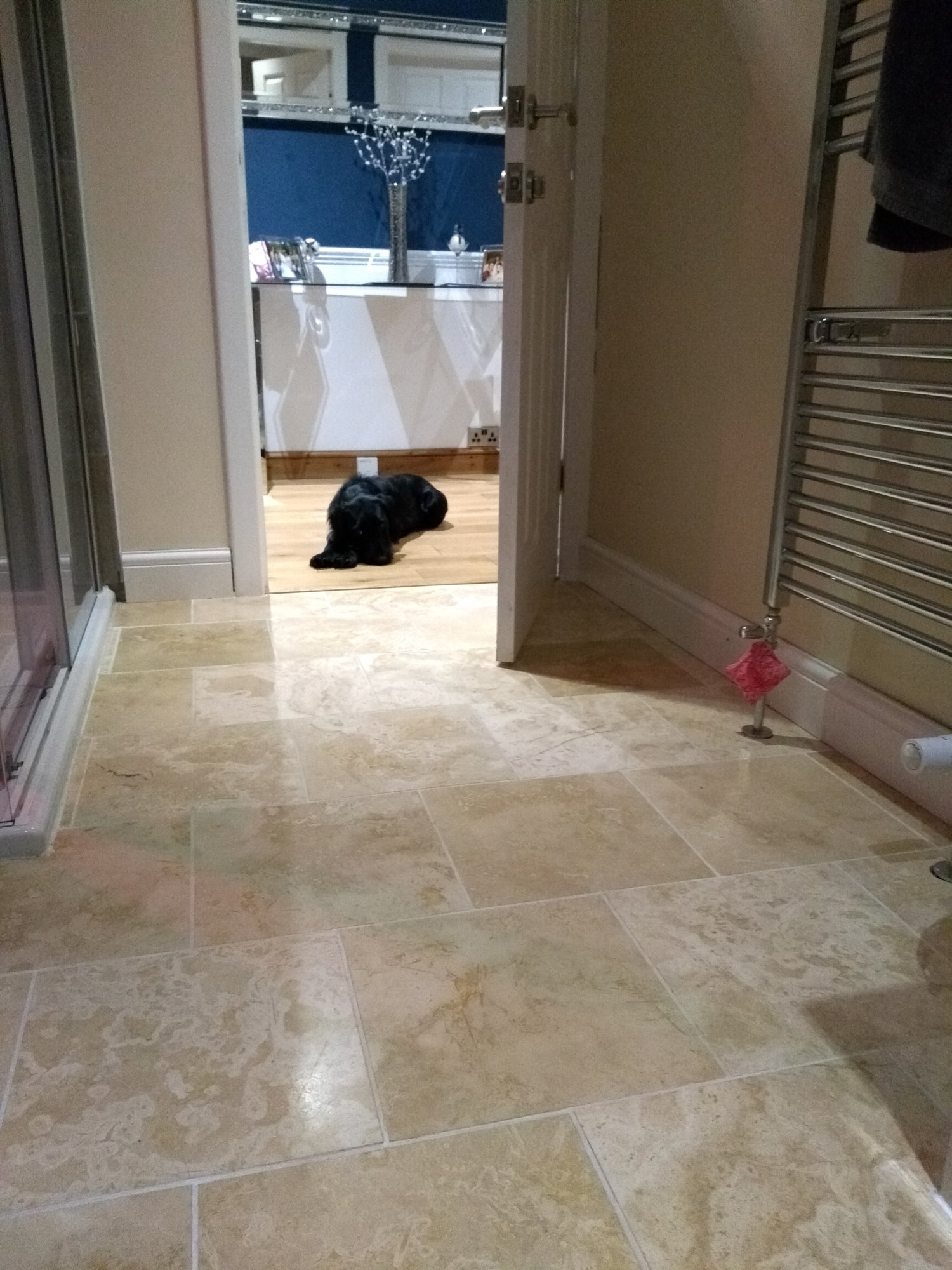 IMG_20200325_224003_LL