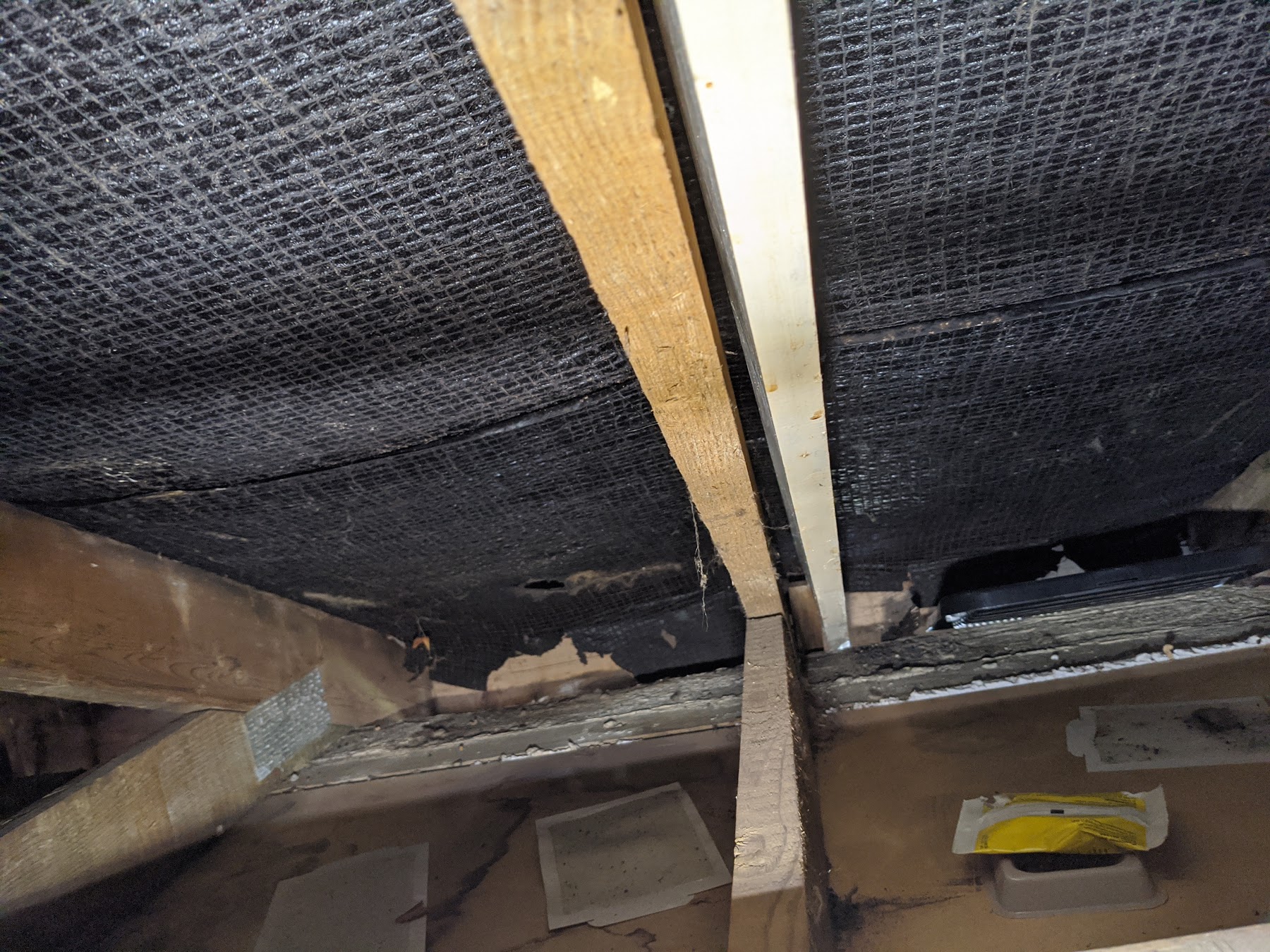 IMG_20200508_152444_1