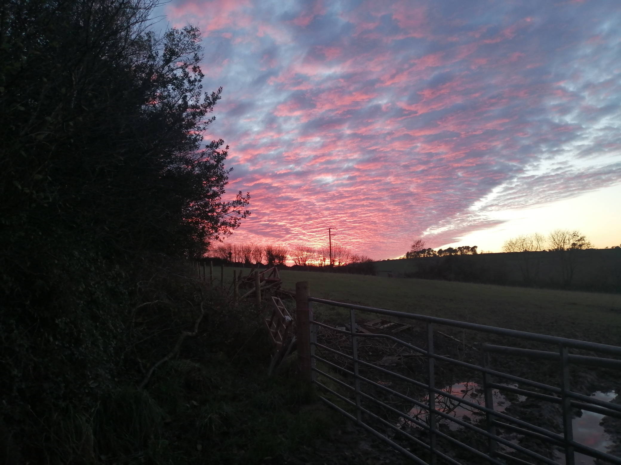 IMG_20201126_162713_resized_20201126_060306530 (1)