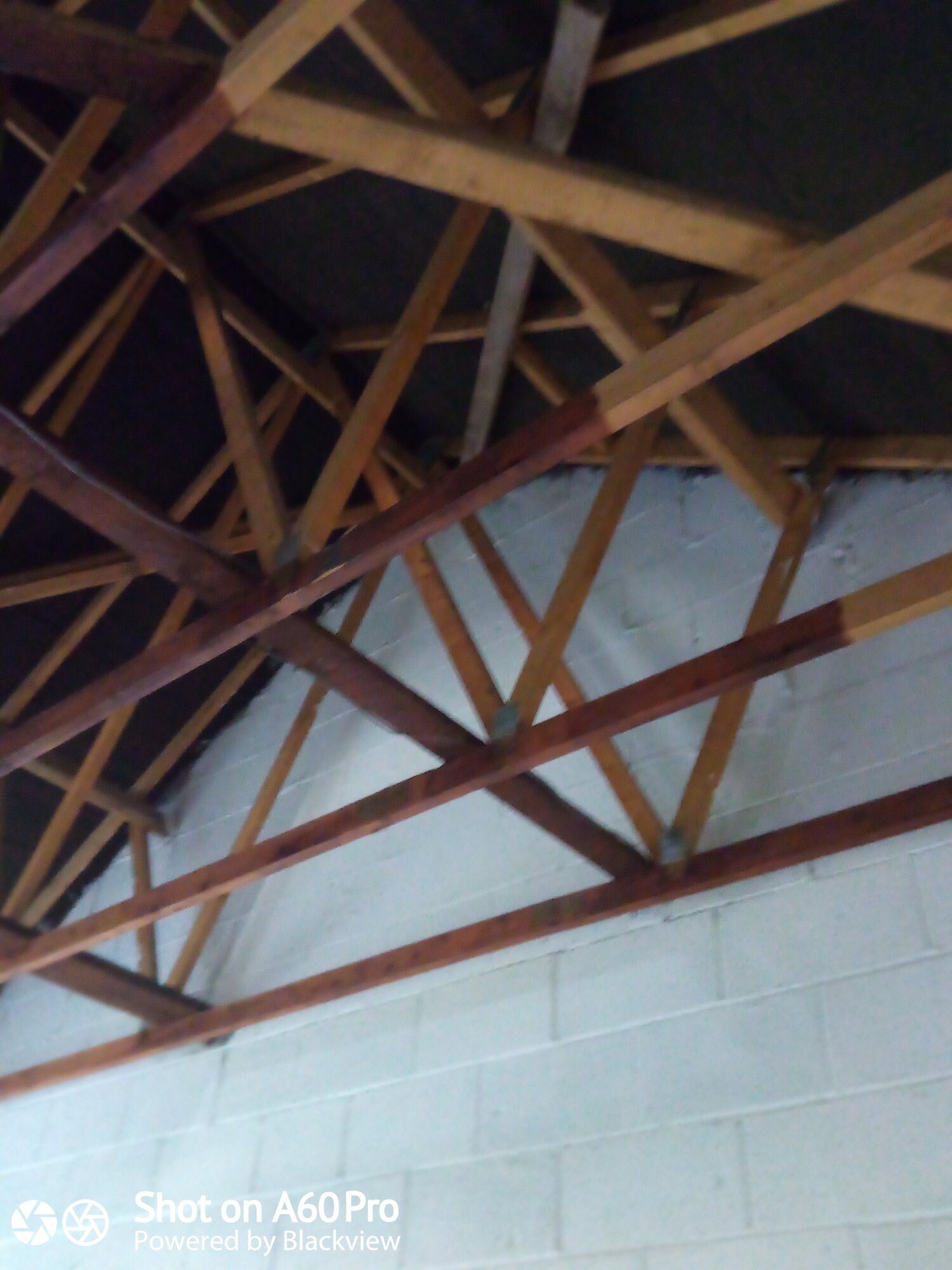 IMG_20201205_113036_8