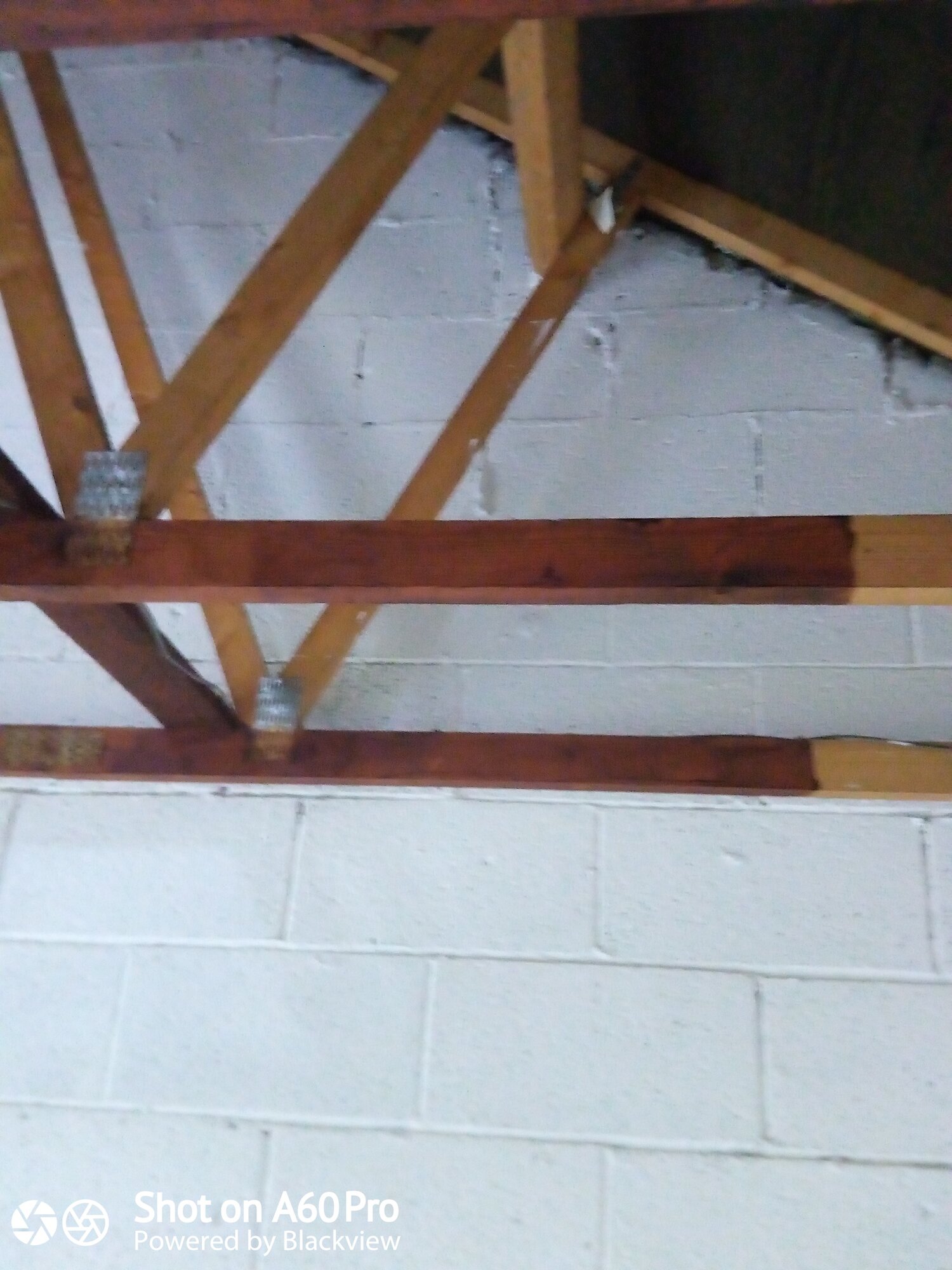 IMG_20201205_113045_6