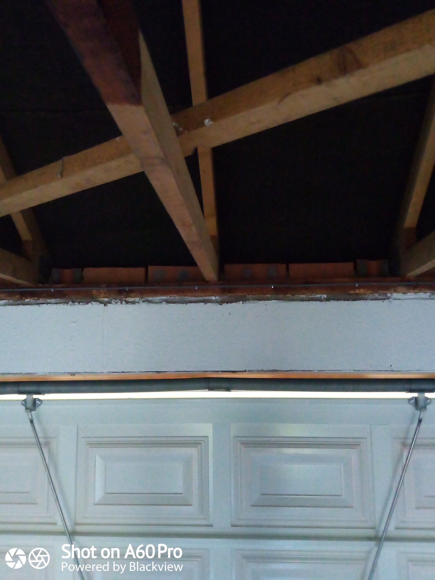 IMG_20201205_113131_0