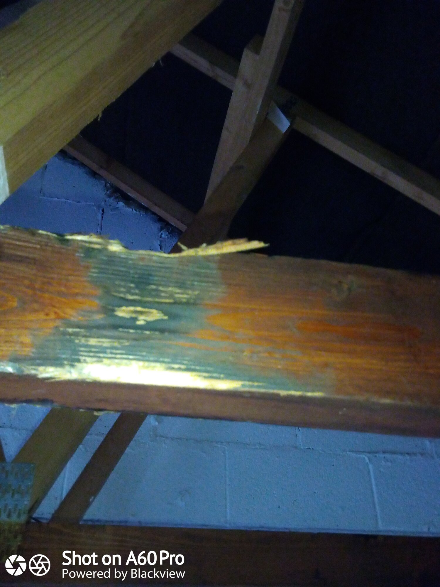 IMG_20201205_113141_9