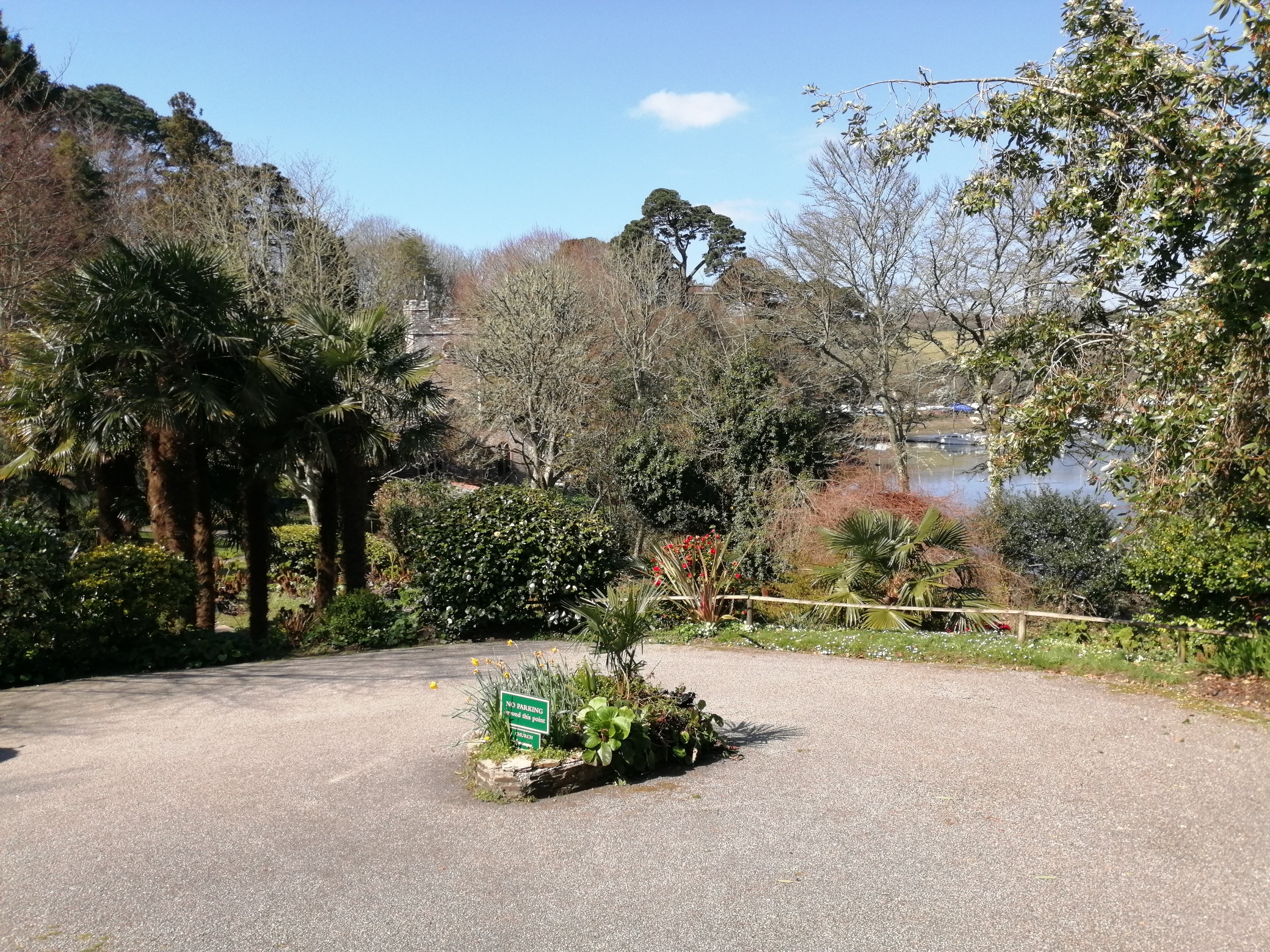 IMG_20210404_132126_resized_20210404_034149184