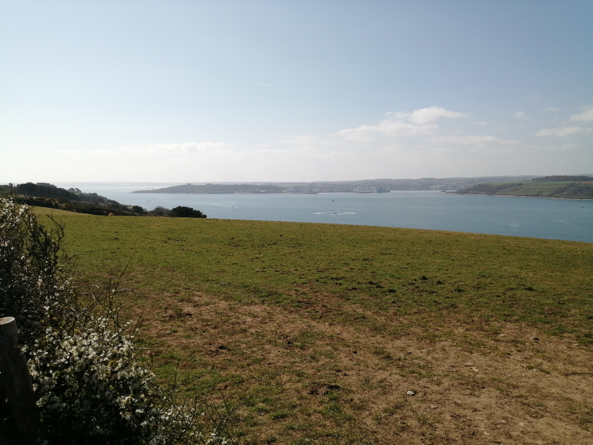 IMG_20210404_134229_resized_20210404_034037465