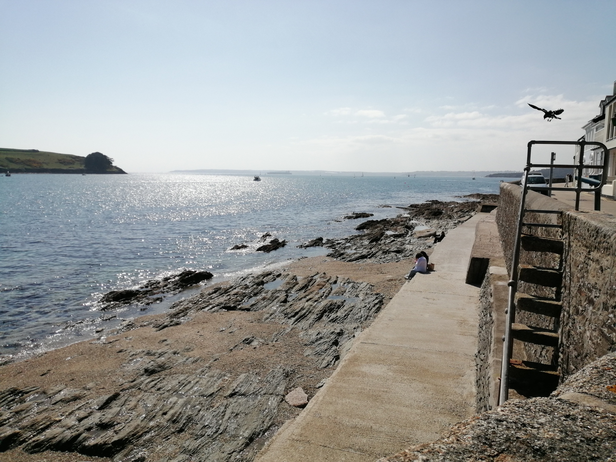 IMG_20210404_141413_resized_20210404_033845783