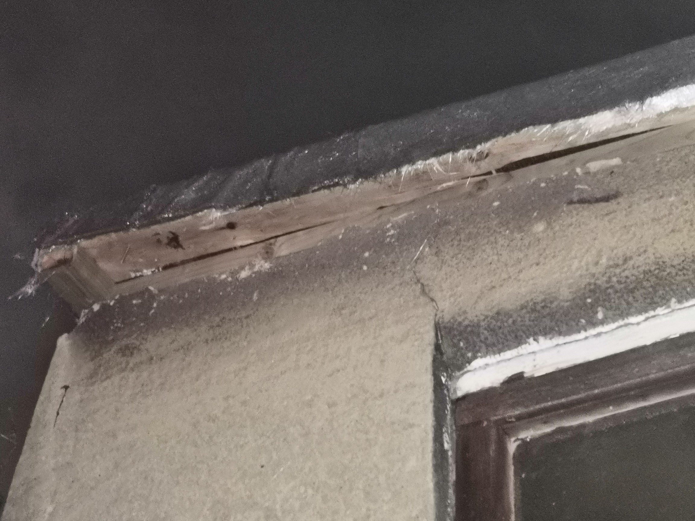 IMG_20220120_175829_copy_2304x1728