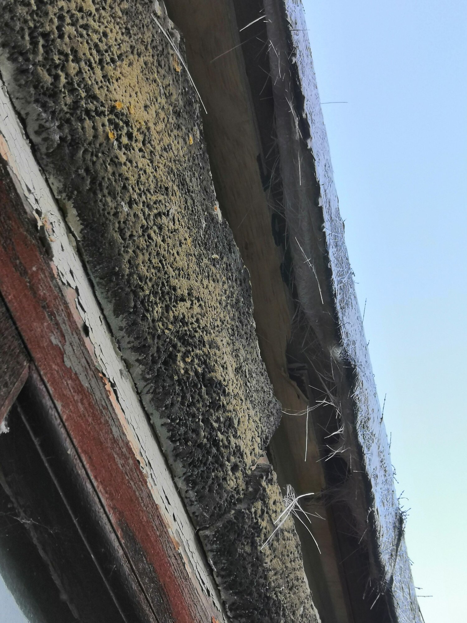 IMG_20220121_082511_copy_1843x2457_1