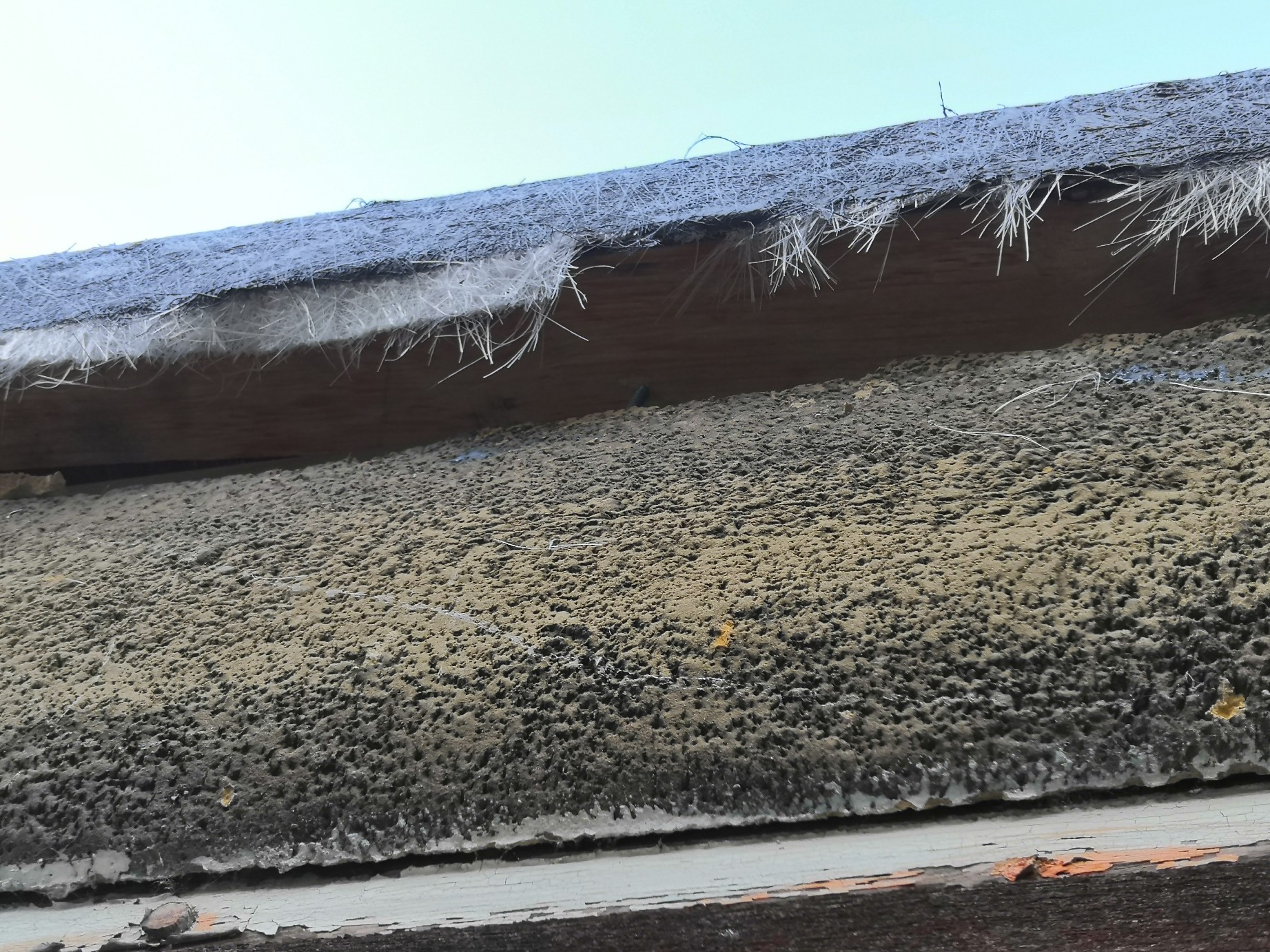 IMG_20220121_082525_copy_1843x1382