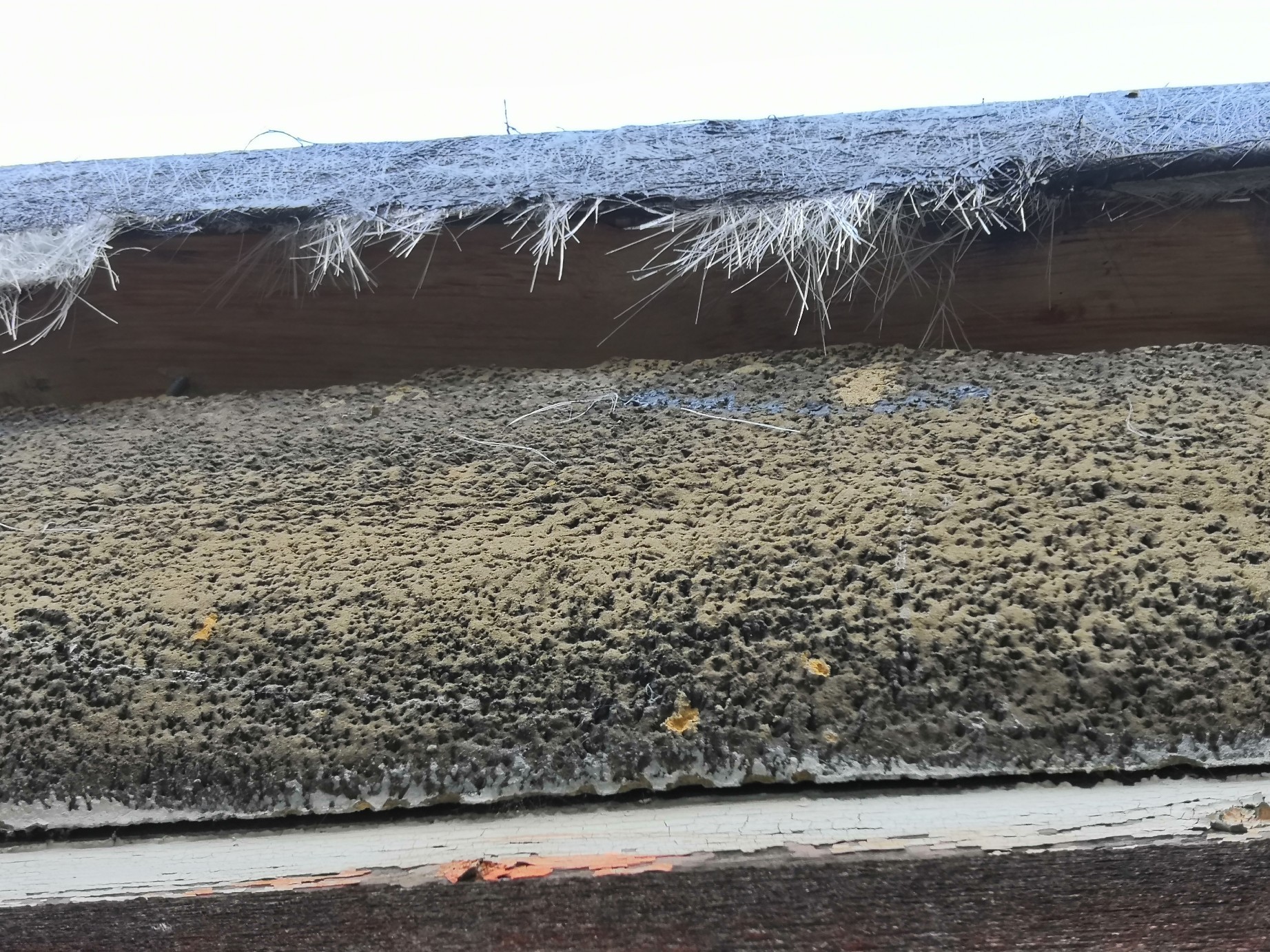 IMG_20220121_082529_copy_1843x1382_copy_1843x1382